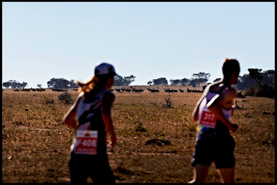 Ontdek vijf avontuurlijke marathons…