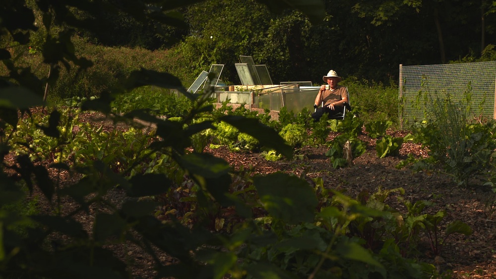 Maartens Moestuin: Kapucijners en sperziebonen