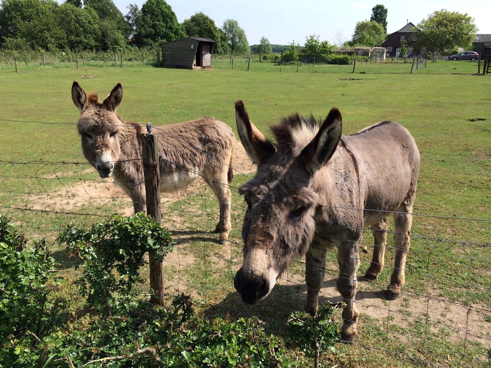 Net geen twintig kilometer…